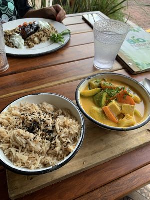 Curry! Not spicy and it’s so good!  #Veganuary at Bio & Natural - Con Constituyentes in Playa Del Carmen