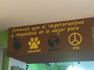 Cute decor  at Bio & Natural - Con Constituyentes in Playa Del Carmen