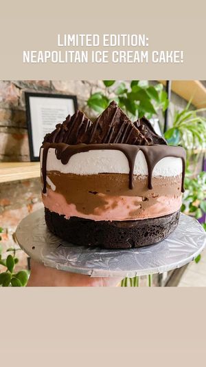 Neapolitan ice cream cake! at Fairly Frosted in Hamilton