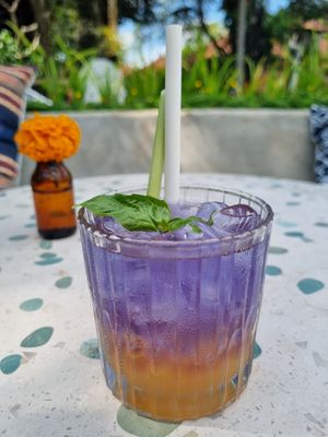  at Dharma Kula in Ubud