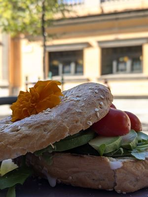 Nice Bagel with much avocado at Bali Coffee & Brunch in Girona