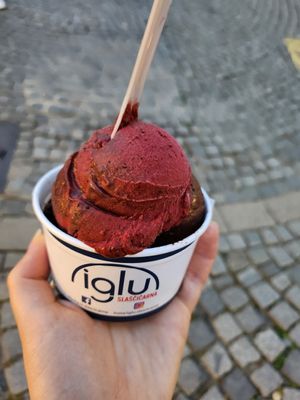Berry sorbet and vegan chocolate ice cream at Iglu Slaščičarna Džemail Demiri s.p. in Maribor