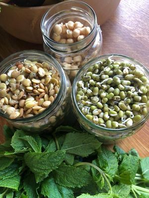  at Kettering B&B in Kettering