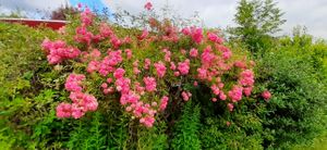  at Kettering B&B in Kettering