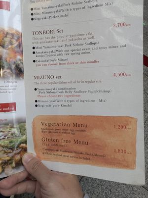 Vegetarian set at Okonomiyaki Mizuno in Osaka