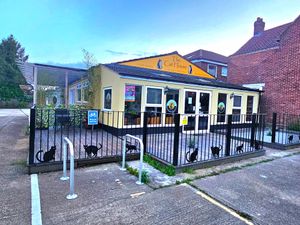  at The Cat House  in Norwich