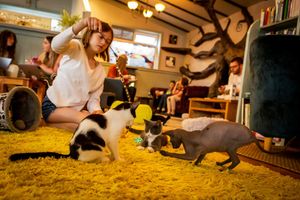  at The Cat House  in Norwich