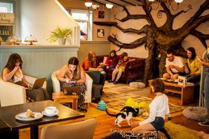  at The Cat House  in Norwich