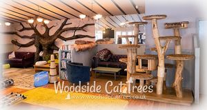  at The Cat House  in Norwich