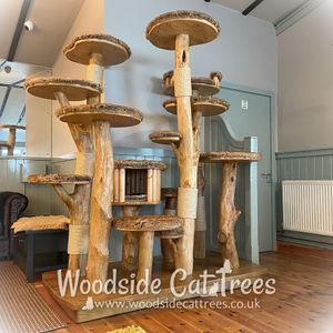  at The Cat House  in Norwich