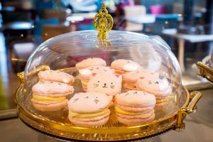  at The Cat House  in Norwich