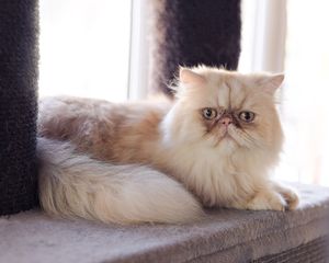  at The Cat House  in Norwich