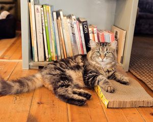  at The Cat House  in Norwich