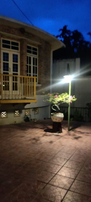 Outdoors at Omlandia in Deli Tua