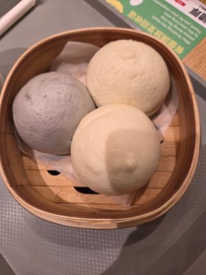 Boa  Boa at TPE - Vege Creek 蔬河 - T2 in Taoyuan City