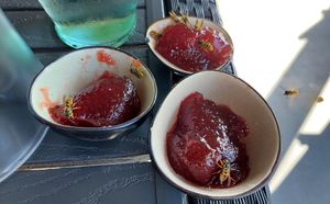 At the beginning it was still amusing how the wasps pounced on the jam. But it quickly became unbearable... at Lorösch in Bad Orb