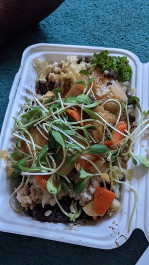 Ferment Bowl at Superfresh Organic Cafe in Brattleboro