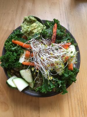 Wholesome bowl at Superfresh Organic Cafe in Brattleboro