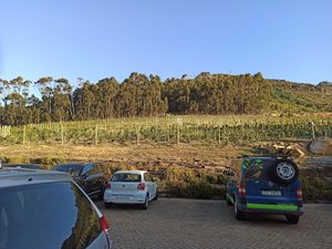  at La Colombe in Constantia