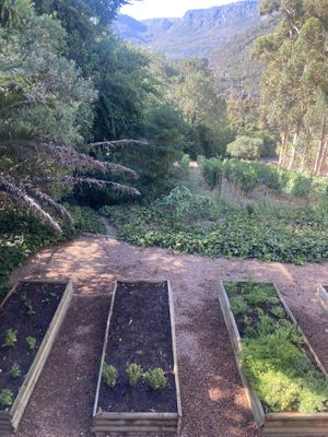   at La Colombe in Constantia