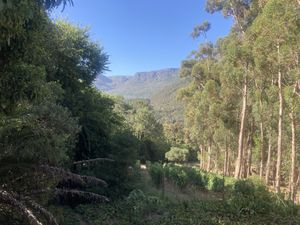   at La Colombe in Constantia