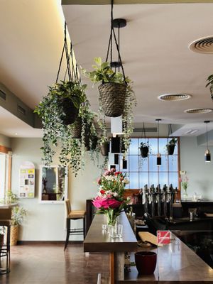   at Vevi Restaurant III in Vienna