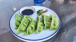 vegan gyoza. yummy at Sushi Thai Salida in Salida