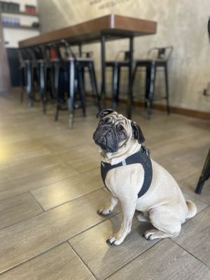   at Amateur Coffee & Run Club in Lima