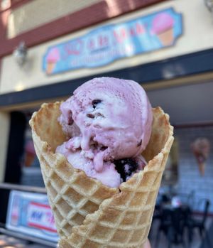 Black cherry oat on waffle cone (all vegan) at SLO à la Mode in San Luis Obispo