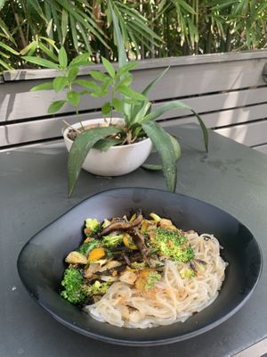 Glass noodles with mushrooms, broccoli and sweet peppers in a spicy sauce.  Very tasty and filling! at Green Bar and Kitchen in Fort Lauderdale