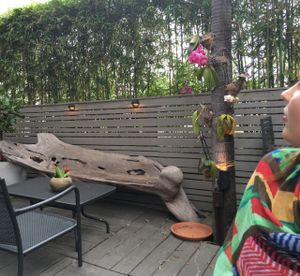 outside sitting  at Green Bar and Kitchen in Fort Lauderdale