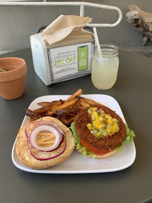 Coconut Burger and fries at Green Bar and Kitchen in Fort Lauderdale