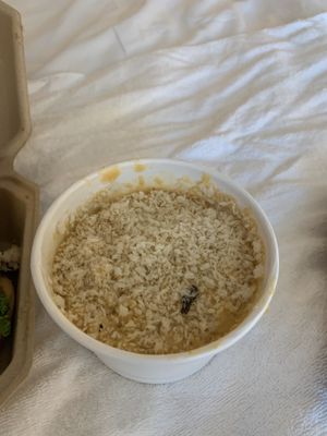 Mac and Cheese  at Green Bar and Kitchen in Fort Lauderdale