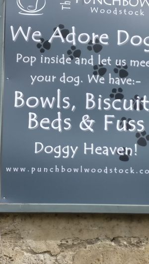 They love dogs!  Treats available. at The Punchbowl Inn in Woodstock