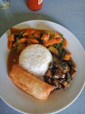 Eggplant and veggies dish with spring roll at Andrea's Kawayan Eatery in Panglao