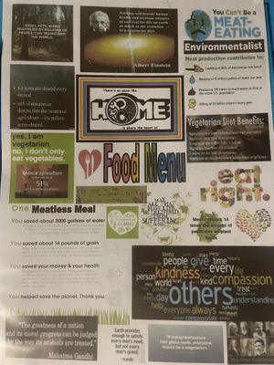   at Cha Chai Home in Koh Phayam