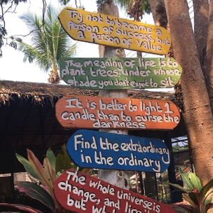 🌸 at Cha Chai Home in Koh Phayam