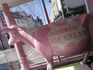 Not very vegan, but this pink cow is fun 🩷 (May 2024) at The Sweet Shop - Aberdyfi Ice Cream in Aberystwyth