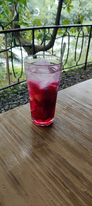 Tradicional beverage with mixed fruits at Ecolodge Bukit Lawang  in Bukit Lawang