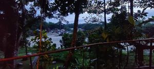 View at Ecolodge Bukit Lawang  in Bukit Lawang
