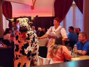 "Cow" danced around the whole restaurant at Stadtkeller in Luzern