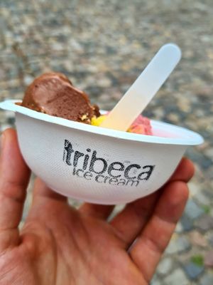 🍦🌱👍 at Tribeca Ice Cream in Berlin