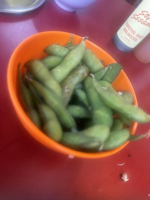   at Knees To Chin in Ghent