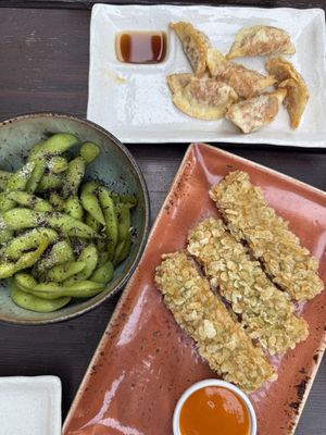 Gyoza mit Kimchi, edamame, knuspriger Tofu   at Chay Chay by royals and rice in Muenster