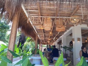  at PLNT+HRVST in El Nido