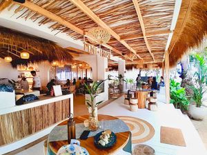  at PLNT+HRVST in El Nido