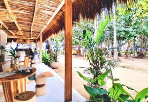  at PLNT+HRVST in El Nido