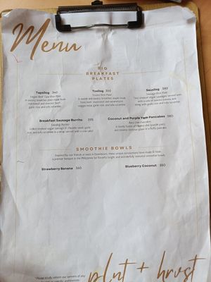  at PLNT+HRVST in El Nido