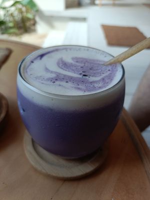  at PLNT+HRVST in El Nido