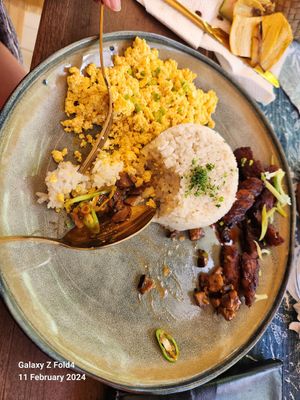  at PLNT+HRVST in El Nido